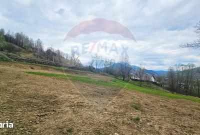 Teren de 2910 mp, în Hangu - 18