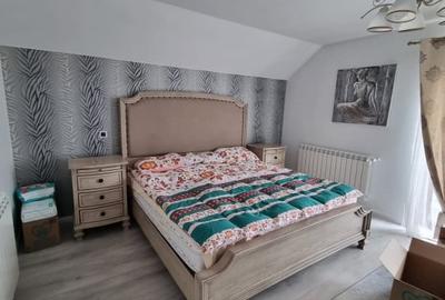 Casa de vanzare spre Vetis, drum principal - 16