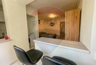 Garsoniera mobilata si utilata, PET FRIENDLY, zona Garii! - 3