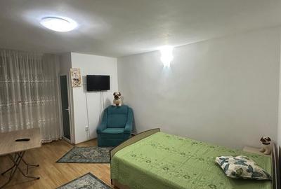 Garsonieră decomandată în Exterior Vest - 7