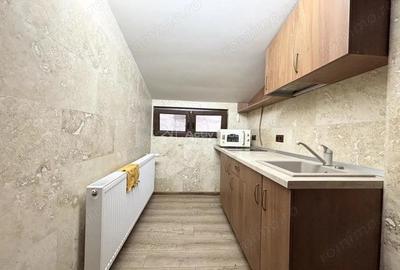 Spatiu comercial de inchiriat ideal pentru bar, cafenea, fast food, birou sau magazin - 19