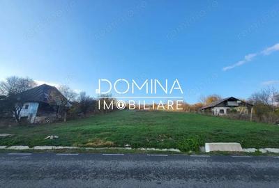 Teren de 11939 mp, în Bălănești - 3