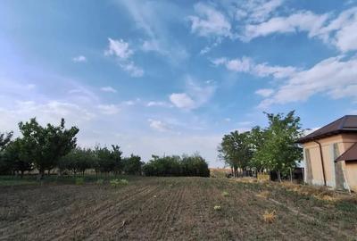 Teren de 1500 mp, în Izvoarele - 3