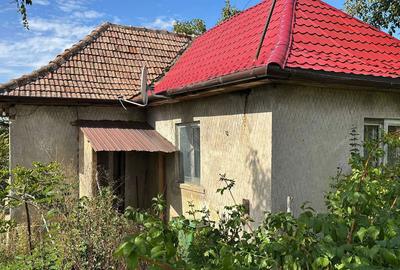 Casă cu 3 camere în Tămășeni - 1