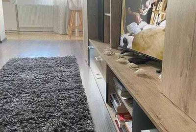 Aleea Carpati - Inchiriere apartament 1 camera - Str. Aleea Carpati - 1