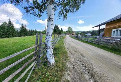 Teren de 5000 mp, în Ortoaia - 2