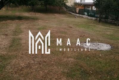 Teren Intravilan 10.000 mp | Livadă + Pădure de salcâm | Bărbătești - 4