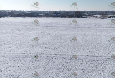 Teren 9360 mp de vânzare în Berceni, Ilfov – Ideal pentru dezvoltare PUZ - 2