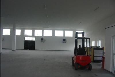 Ansamblu Industrial - Hale - 3027 mp - Teren 12822 mp - Jucu- Cluj - 11