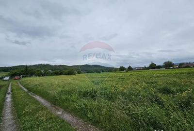 Teren de 1495 mp, în Dobreni - 8