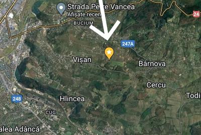 Teren de 1028 mp, în Vișan - 3
