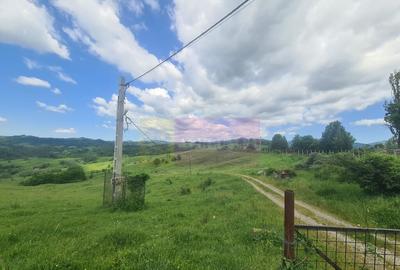 Teren de 9037 mp, în Plaiul Tălii - 8