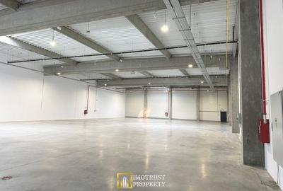 Hala industriala moderna – 1.162,05 mp depozit | Arad - 5