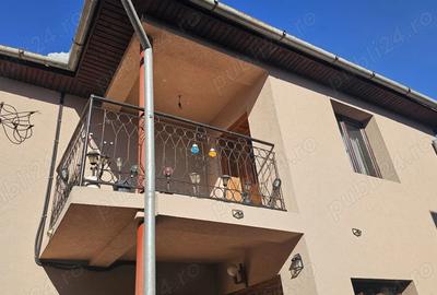 Proprietar, vand casa in Faget - 3