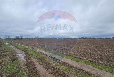 Teren Construcții intravilan de 5000 mp, în Adunații-Copăceni - 1