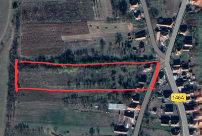 Casa + teren intravilan 6600mp A?chileu Mare - 1