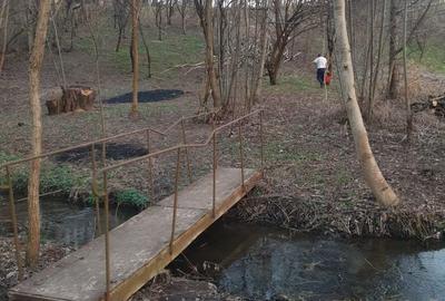 Spațiu comercial, în Malu Mare - 3