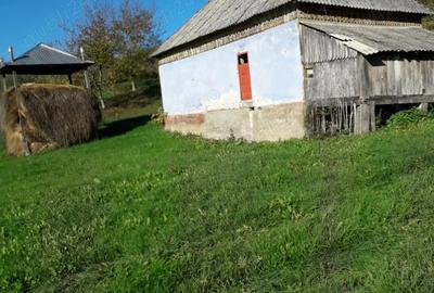 Casa de vinzare cu tot cu pamint - 2