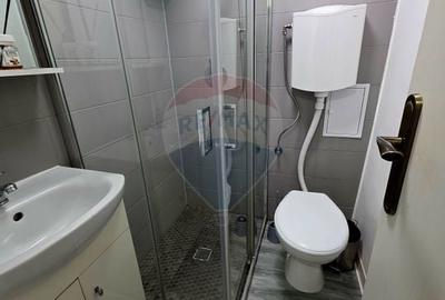 Apartament cu 1 camere de vânzare în zona 1 Mai - 13
