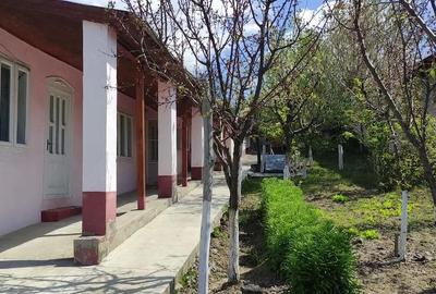 Casă cu 3 camere cu Teren 1000 Mp în Costache Negri - 7