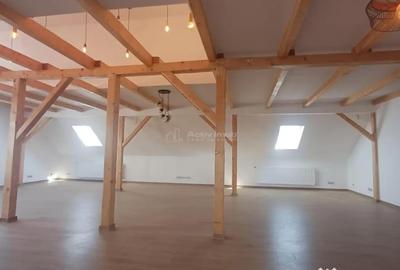 Spațiu comercial, de 405 mp, în Central - 13