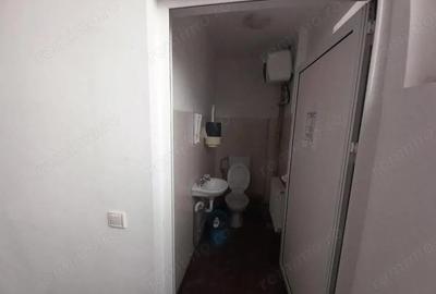 Spațiu comercial, de 2,050 mp, în Mihai Bravu - 15