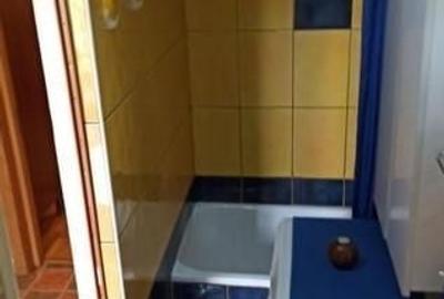 Casă individuală cu 1 camere decomandat cu Teren 60 Mp în Baba Novac - 5