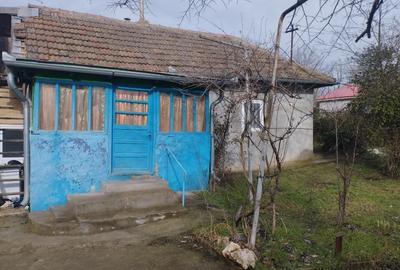 Casă individuală cu 2 camere cu Teren 2500 Mp în Viroaga - 3
