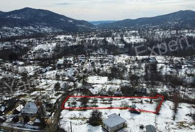 Teren de 3011 mp, în Bradu - 8