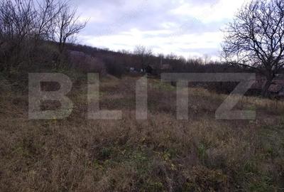 Casa individuala 55 mp, cu teren 2460 mp, Cojocna - 7