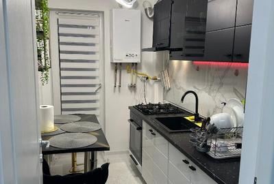 Proprietar,apartament 1 camera,Lunca Cetatuii - 3