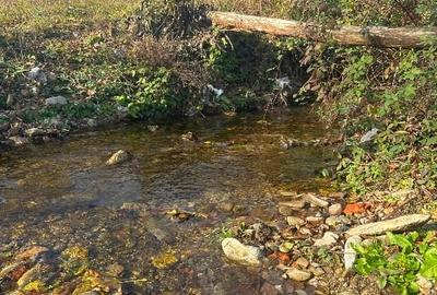 Super Ofertă! Teren Intravilan+Extravilan Gorj - 2