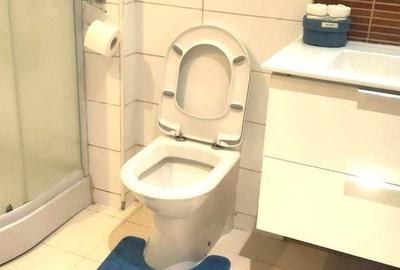 Apartament cu 2 camere decomandat, mobilat în Vitan-Bârzești - 7