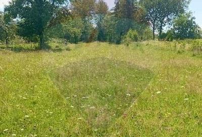 Teren agricol extravilan de 1915 mp, în Breb - 3