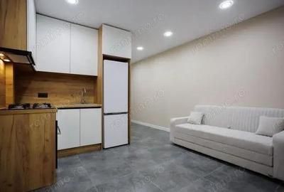 Apartament 2 camere- Zona Baneasa - 2