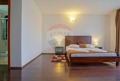 Hotel/Pensiune, de 2,950 mp, în Pănicel - 29