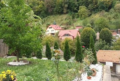 Tur LIVE! Resedinta distincta,in peisagistica montana,Cetatea Veche a Brasovului - 7