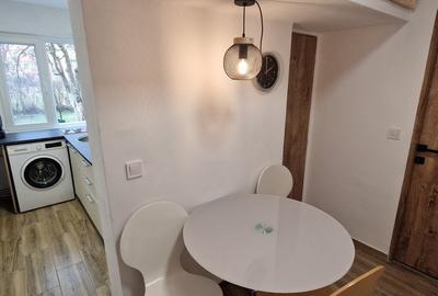 Apartament 1 camera regim hotelier Provista - Narcisei - 10