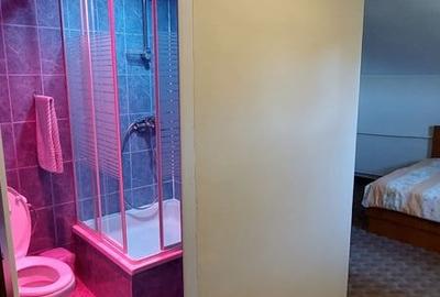 Casă cu 9 camere în Valea Mare - 7