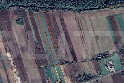 De vanzare teren intravilan ?i extravilan zona Ciuperceni