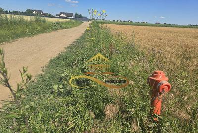 Teren pentru investitori la Calea Romanului 9000 mp - 2