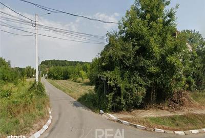 Spațiu comercial, în Snagov - 2