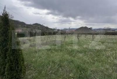 Casă cu 3 camere cu Teren 2900 Mp în Dej - 18