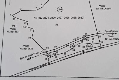 Teren de 100000 mp, în Berzasca - 5
