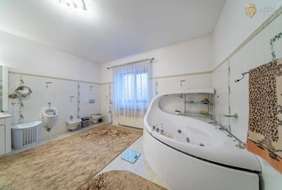 Vila modern 6 camere de vanzare in Gradiste - 19