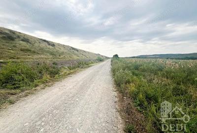 Teren extravilan Lugasu de jos, Bihor - 2