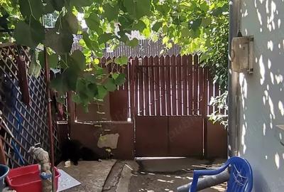 Casă cu 3 camere cu Teren 150 Mp în Pantelimon - 1