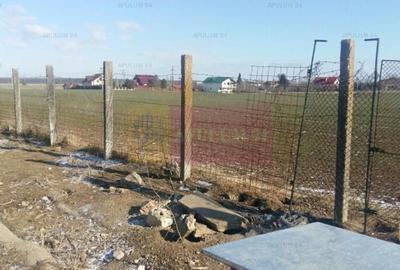 Teren Balotesti- Saftica - 6