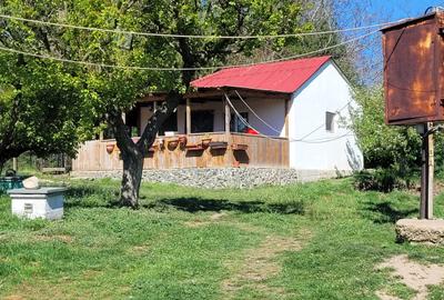 Fermă de vânzare în com. Deleni - DN3 - 10.680 mp - 84 m deschidere - 9