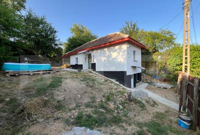 Casa renovata Varvoru de Sus, 30 mpu, 1000 mp curte. - 17